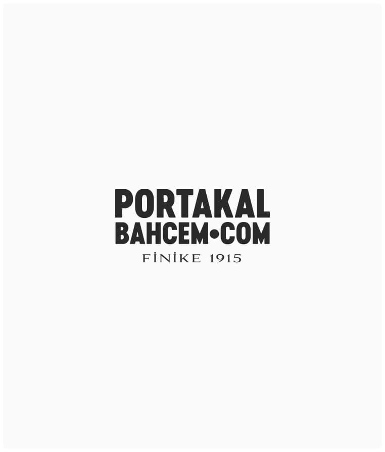portakalbahcem.com, Logo Yazılım ile büyüme hedeflerini başarıyla gerçekleştiriyor.
