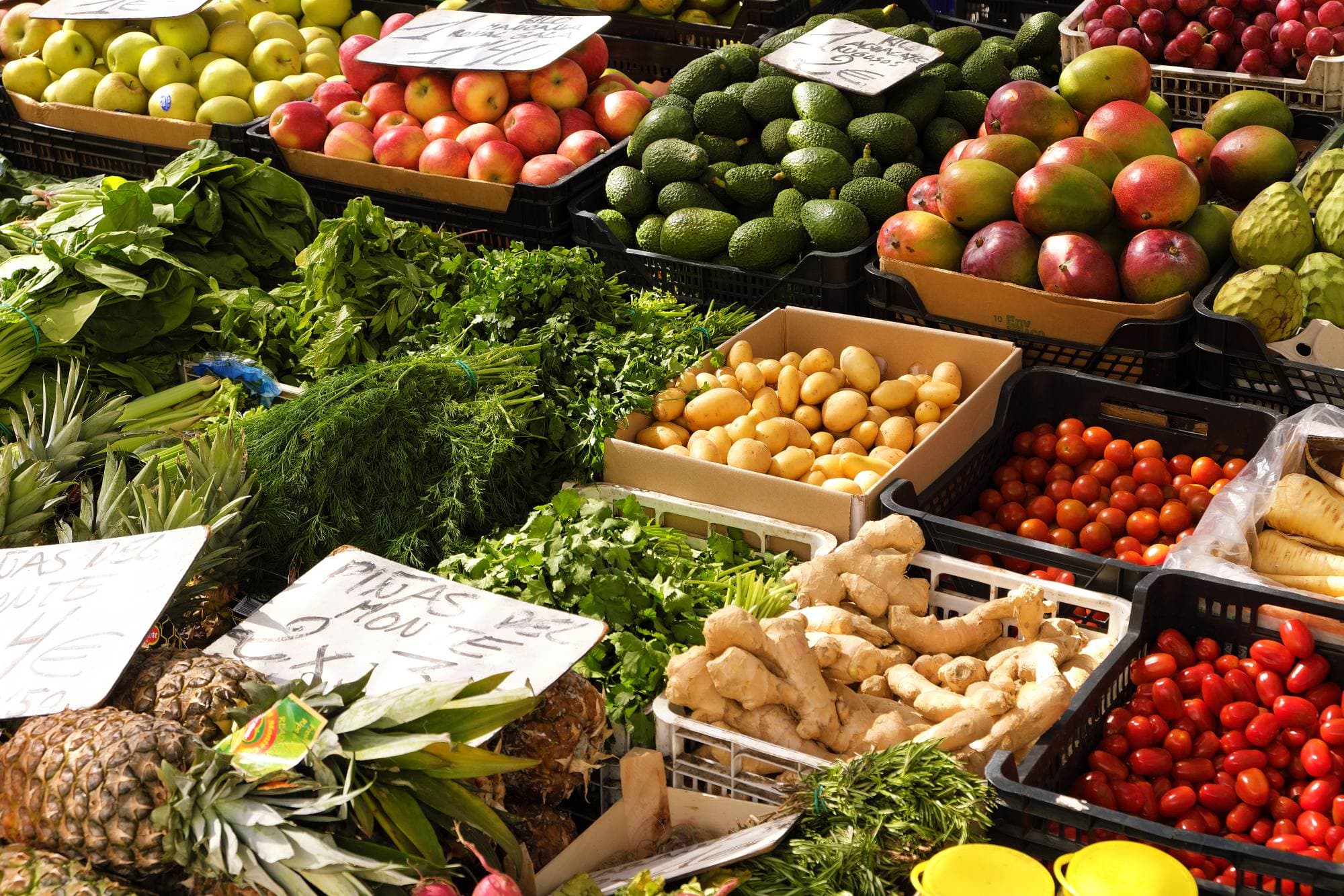 Food Production