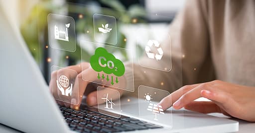Sustainability Management