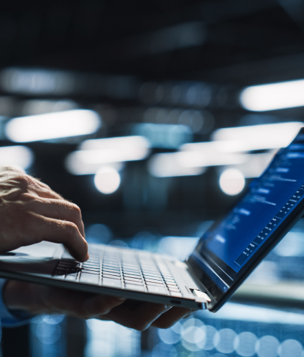 Üniversitelilere kariyer imkanı